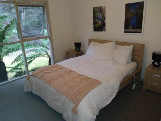 Russell Falls Holiday Cottages National Park Екстериор снимка