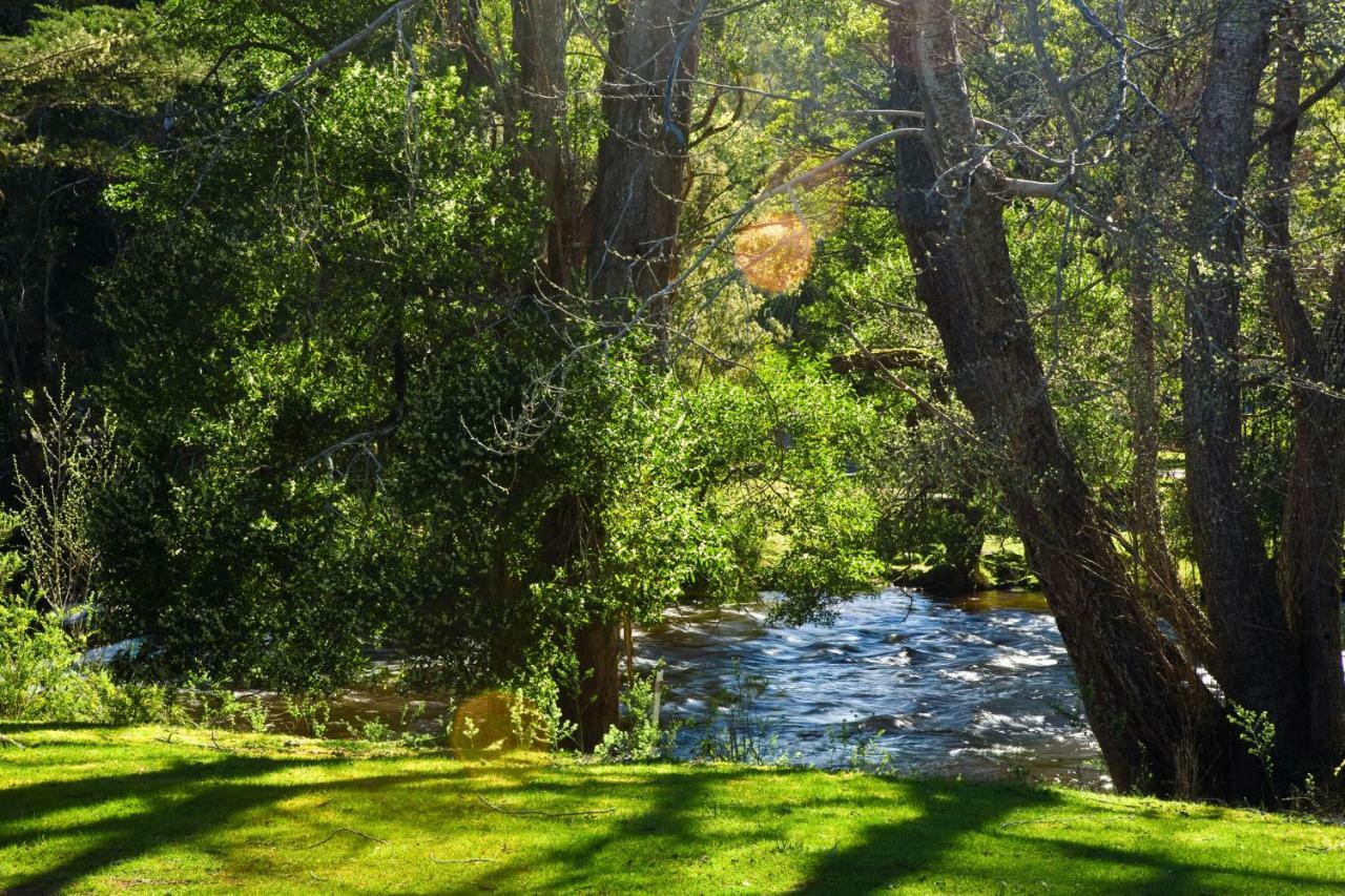 Russell Falls Holiday Cottages National Park Екстериор снимка