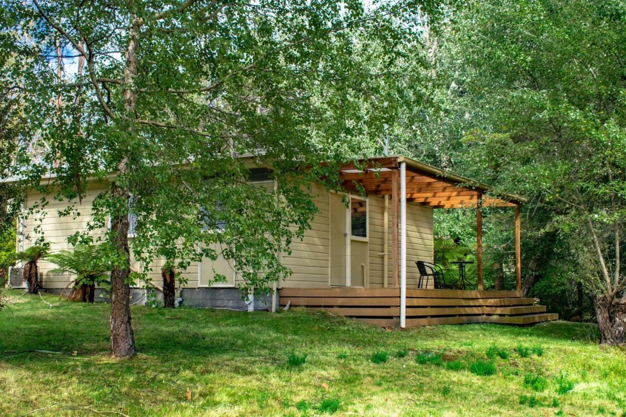 Russell Falls Holiday Cottages National Park Екстериор снимка
