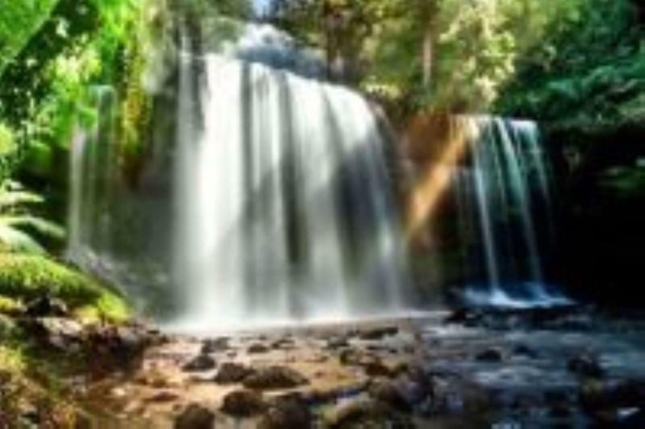 Russell Falls Holiday Cottages National Park Екстериор снимка