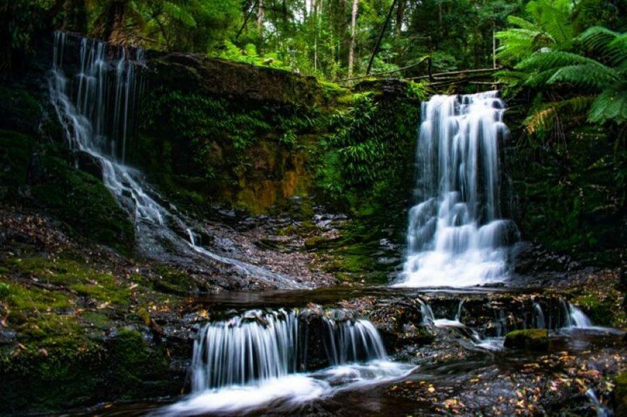 Russell Falls Holiday Cottages National Park Екстериор снимка